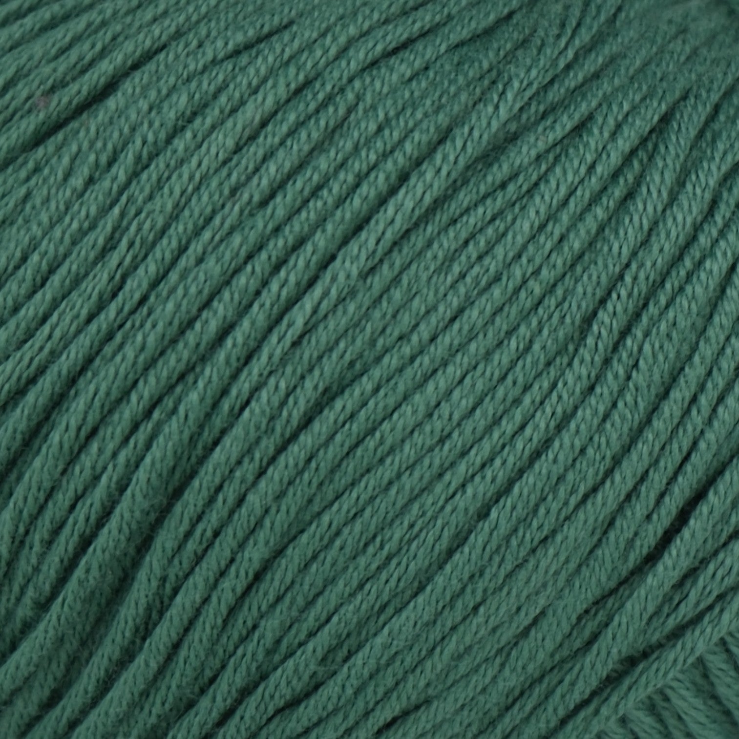 Rozenne Pure Organic Cotton Yarn 2110 Forest Green Surface Rozenneyarns.com