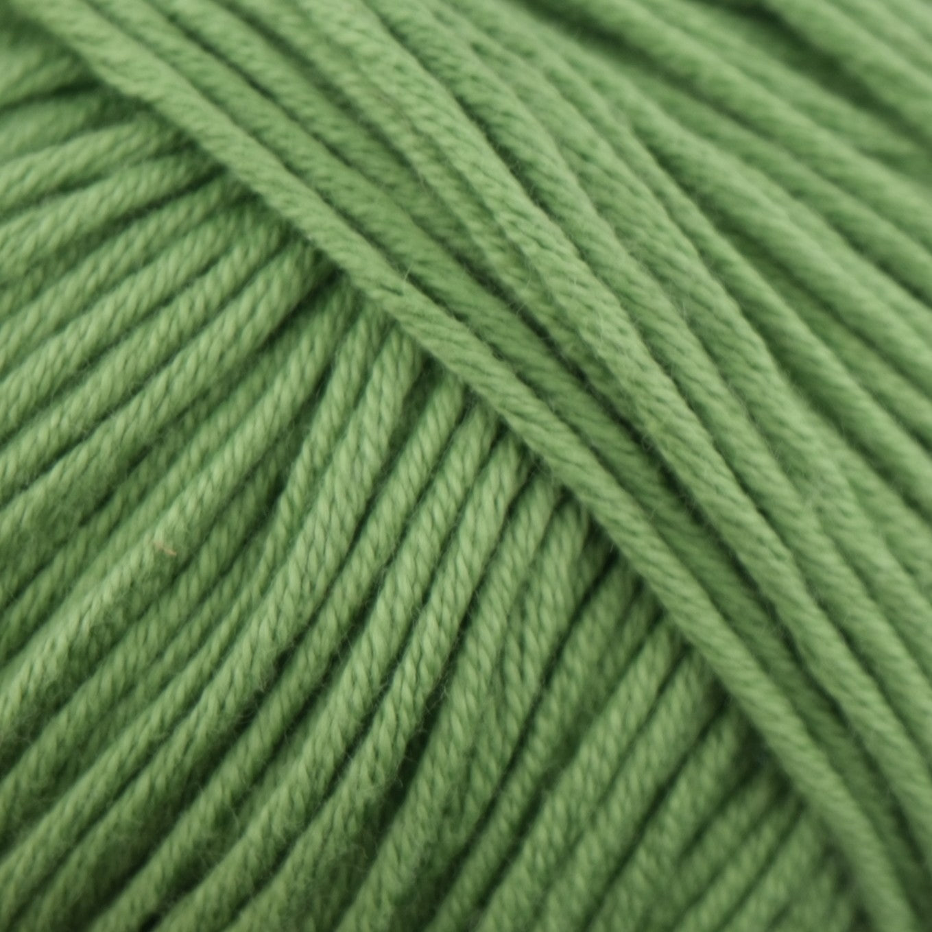 Rozenne Pure Organic Cotton Yarn 2122 Green Surface Rozenneyarns.com