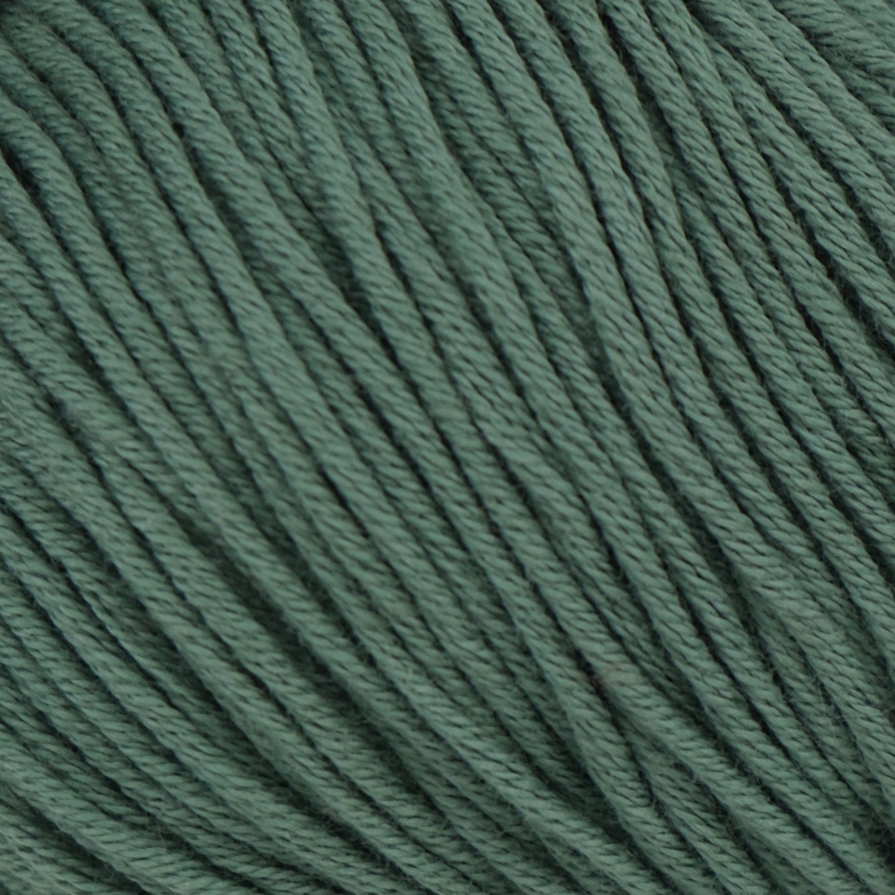 Rozenne Pure Organic Cotton Yarn 2123 Pastel Green Surface Rozenneyarns.com
